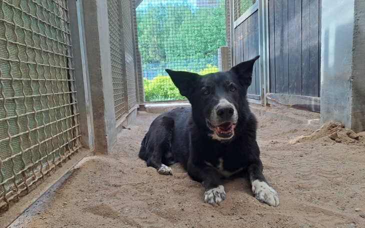 Zbiórka Laki odchodzi... - zdjęcie główne