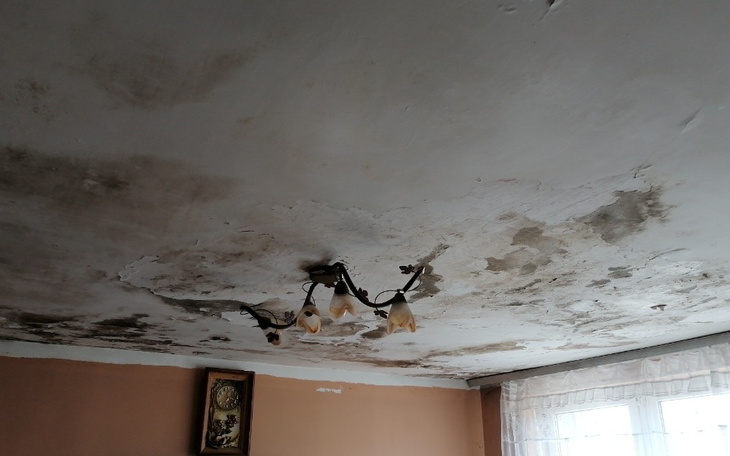 Zniszczony sufit w pomieszczeniu, z pleśnią i uszkodzeniami.