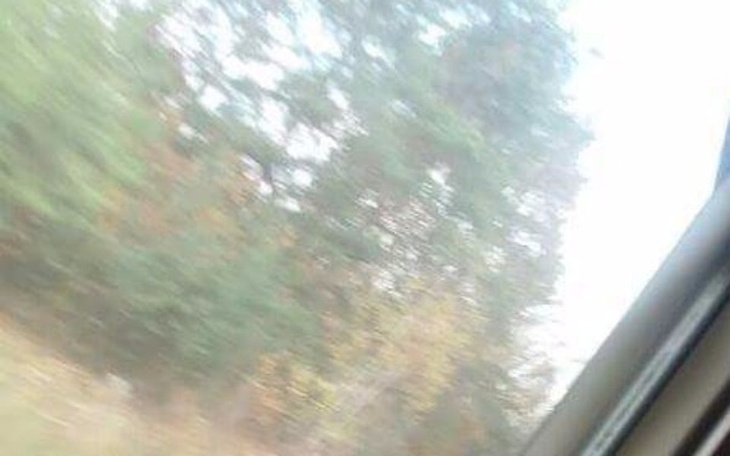 Zbiórka Prawo jazdy3 - zdjęcie główne