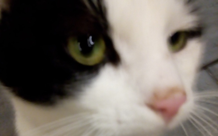 Zbiórka PUCEK zbiera na fakturę - zdjęcie główne