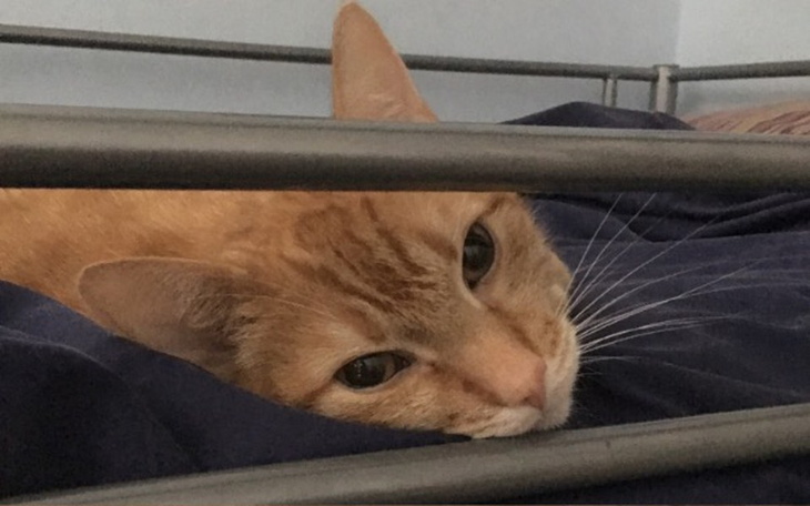 Zbiórka [*] - zdjęcie główne