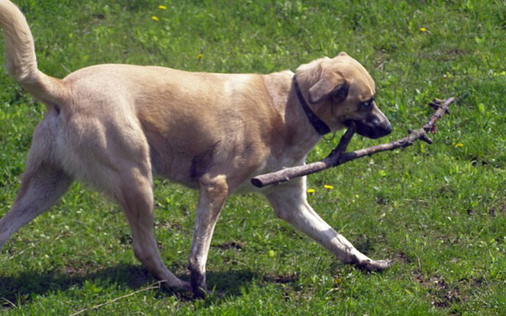 Zbiórka Znaleziony w lesie... - zdjęcie główne