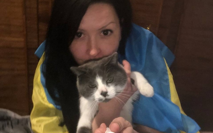 Zbiórka Uratuj koty Ukrainy - zdjęcie główne