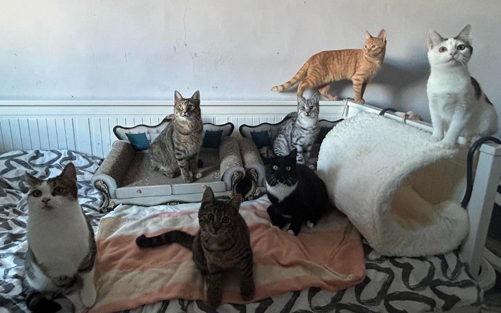 Zbiórka Grudzień pełen zmartwień - zdjęcie główne