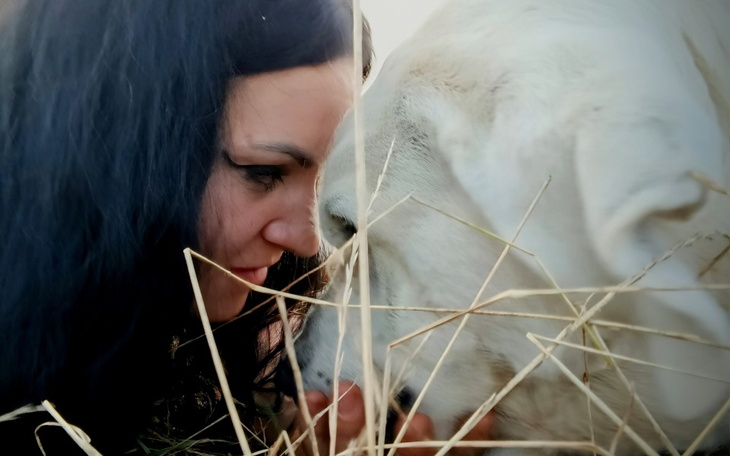 Zbiórka Wózek do wożenia ciężkich rzeczy - zdjęcie główne