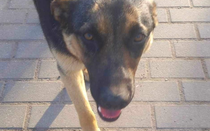 Zbiórka Sunia z Sobolewa - zdjęcie główne