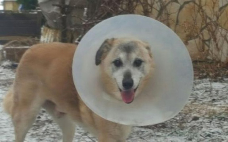 Zbiórka Pomóżcie mi zebrać na operację! - zdjęcie główne