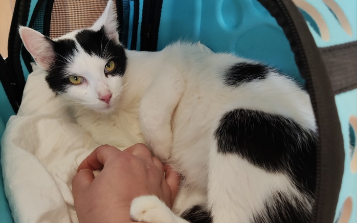 Zbiórka Żeby móc dalej pomagać - zdjęcie główne