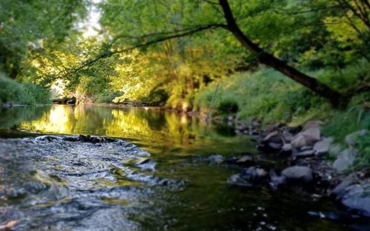 Zbiórka Obiektyw z tego żyje - zdjęcie główne
