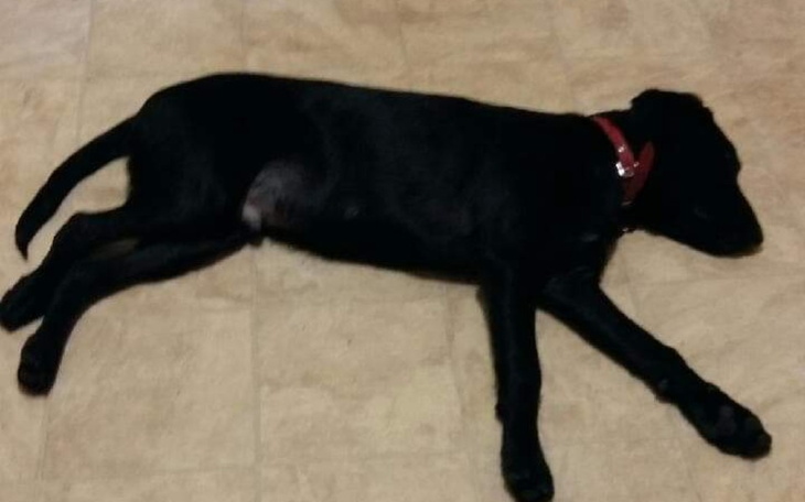 Zbiórka Pomoc w czasie epidemi - zdjęcie główne