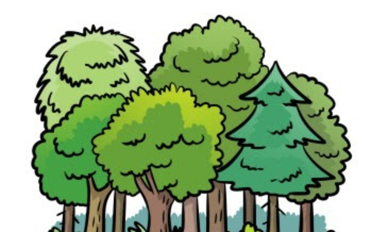 Ilustracja przedstawiająca różne drzewa w lesie.