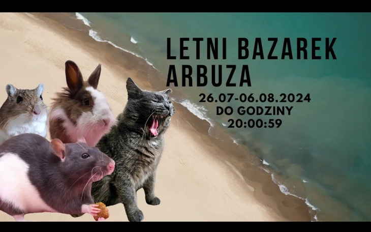 Zbiórka Letni bazarek ArbuZa - zdjęcie główne