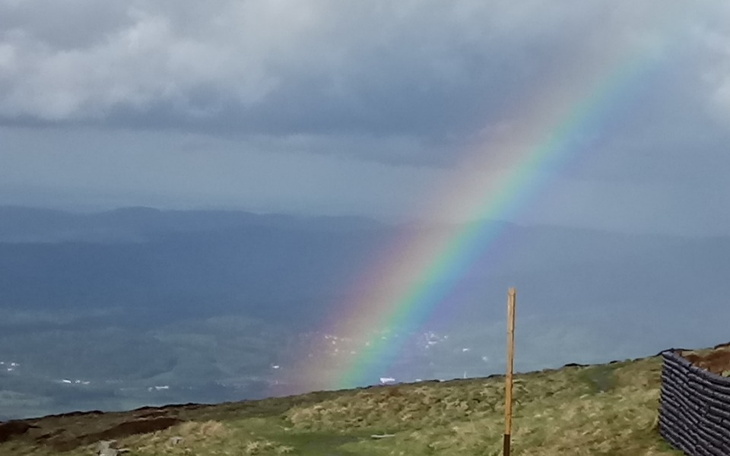 Zbiórka Na koszty formalne projektu - zdjęcie główne
