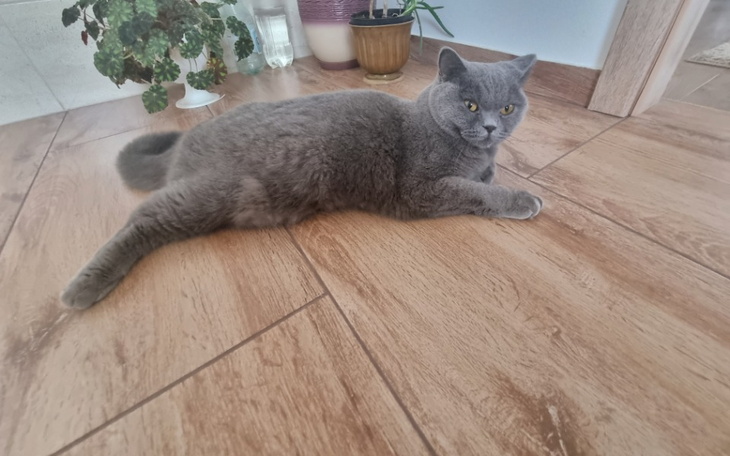 Zbiórka Walka o życie naszej miłości - zdjęcie główne