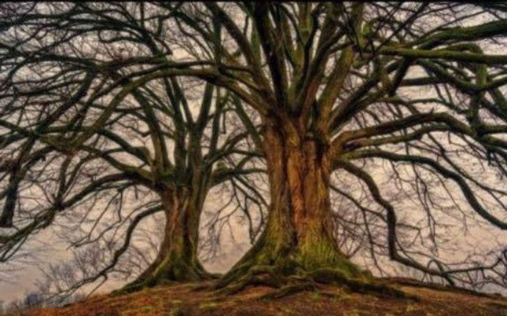 Zbiórka Depresja, lęk, stres.. - zdjęcie główne