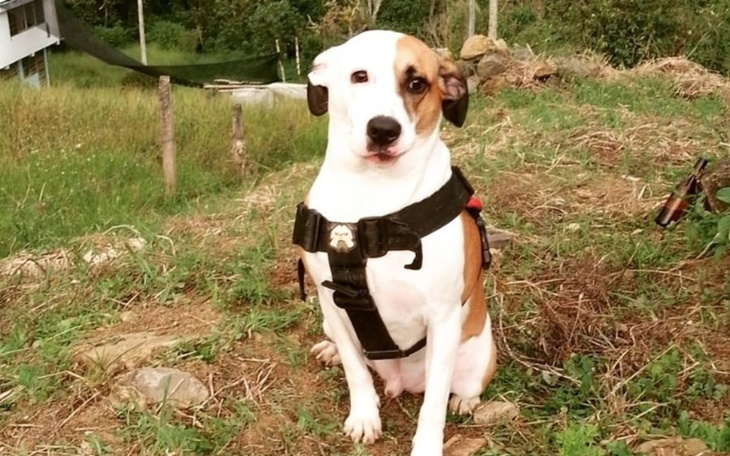 Zbiórka Skręt Żołądka Zefira - zdjęcie główne