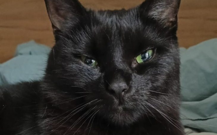 Zbiórka Lilly - walka o radość - zdjęcie główne