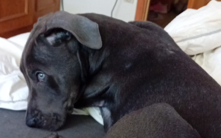 Zbiórka Chcę być jak moi rówieśnicy - zdjęcie główne