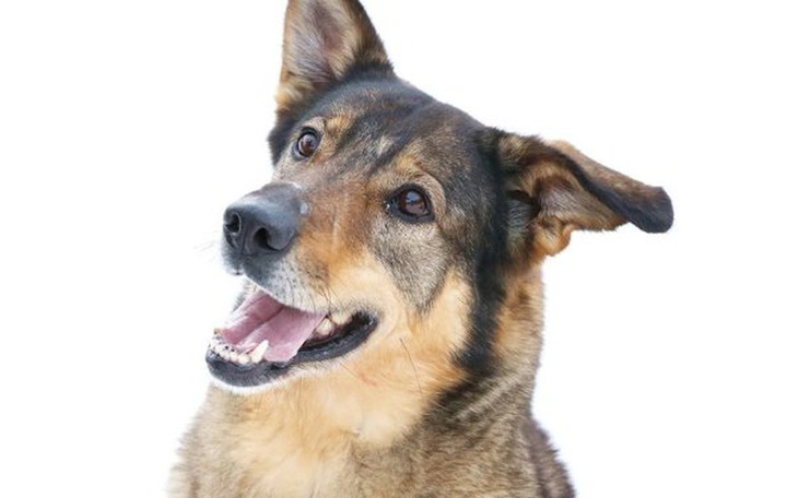 Zbiórka Pomóż-byśmy dalej mogli pomagać! - zdjęcie główne