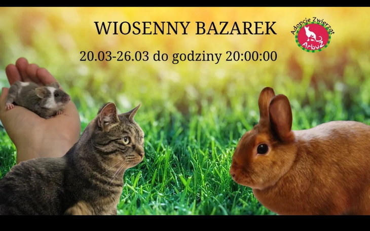 Zbiórka Wiosennie - bazarek ArbuZa - zdjęcie główne