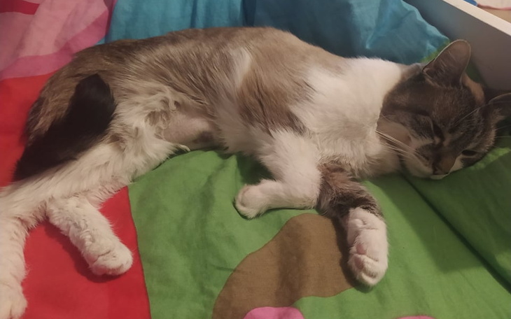 Zbiórka Śmiertelna choroba-walka z czase - zdjęcie główne