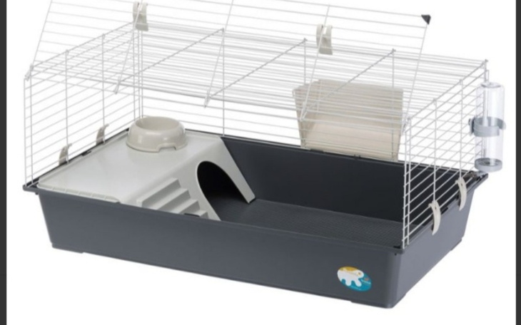 Zbiórka Dom dla zwierzęcia - zdjęcie główne