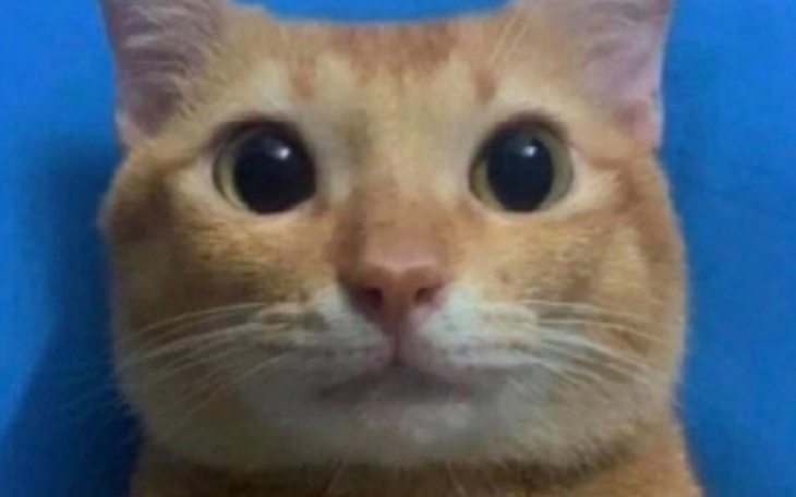 Zbiórka Na vdolce do fortnite pls - zdjęcie główne