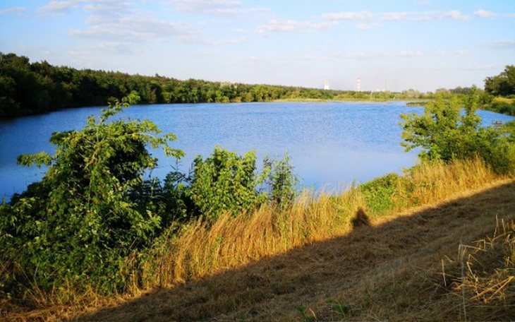 Zbiórka Przez obiektyw aparatu - zdjęcie główne