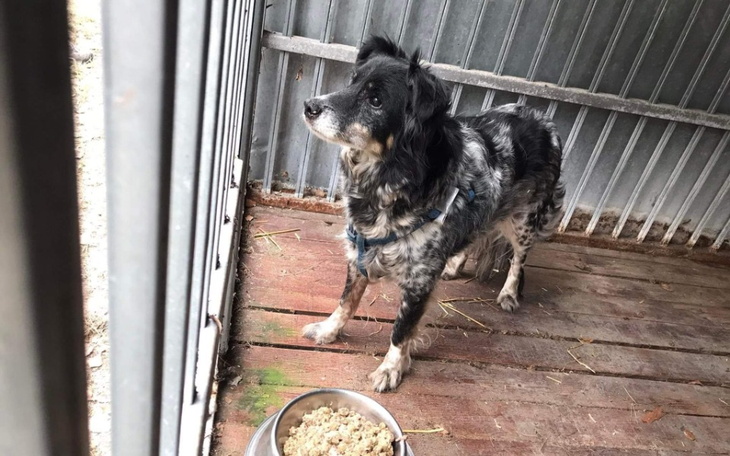 Zbiórka Zuzha - zdjęcie główne