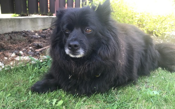 Zbiórka Zbórka na operacje Rica - zdjęcie główne