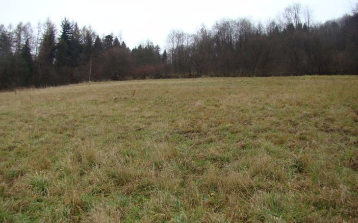 Zbiórka Na zakup działki po Wrocławiem - zdjęcie główne