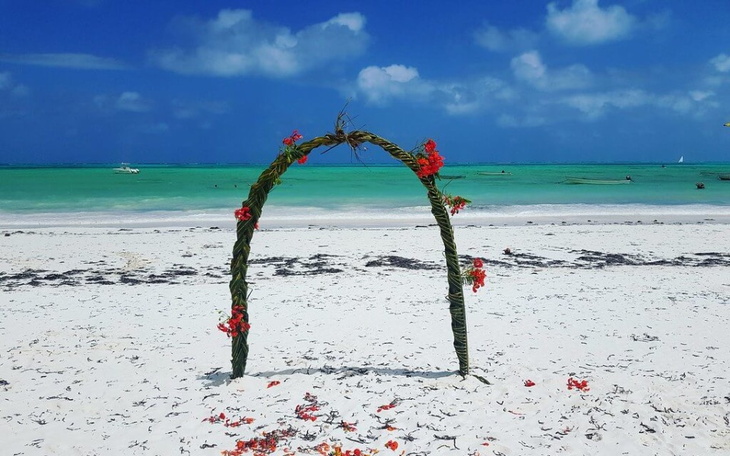 Zbiórka Podróż po ślubna - zdjęcie główne