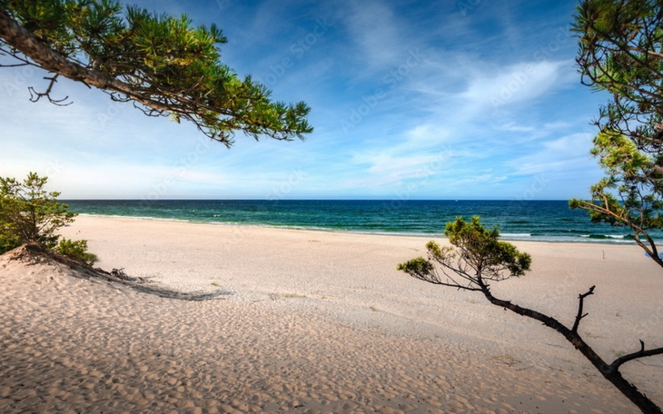 Widok na plażę z drzewami w tle, spokojna woda i błękitne niebo.