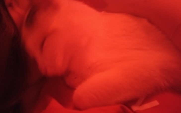 Zbiórka Ząbki Kizi - zdjęcie główne