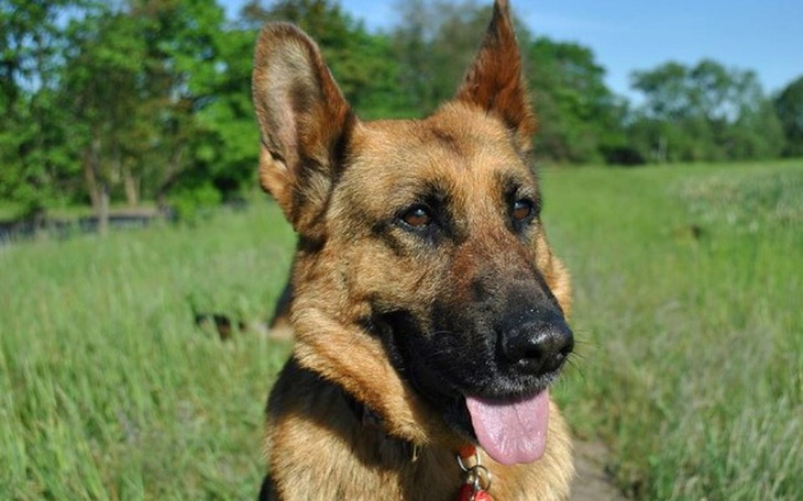 Zbiórka Zamiast fajerwerków - zdjęcie główne