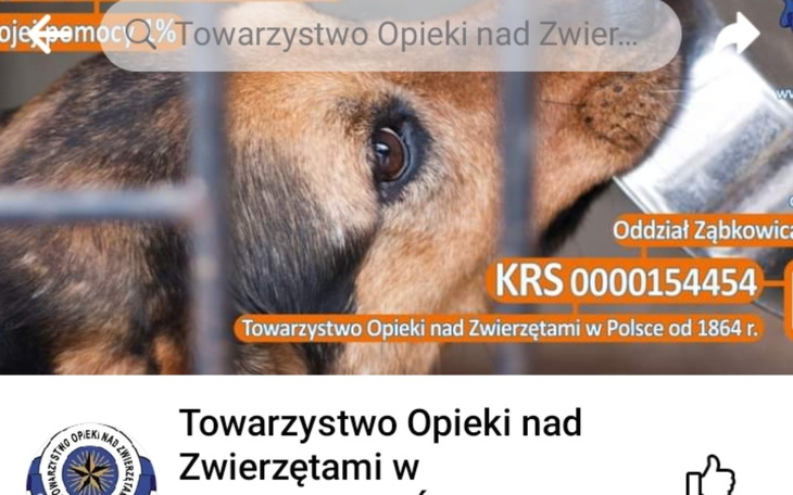 Zbiórka Zbiórka na opiekę zwierząt - zdjęcie główne