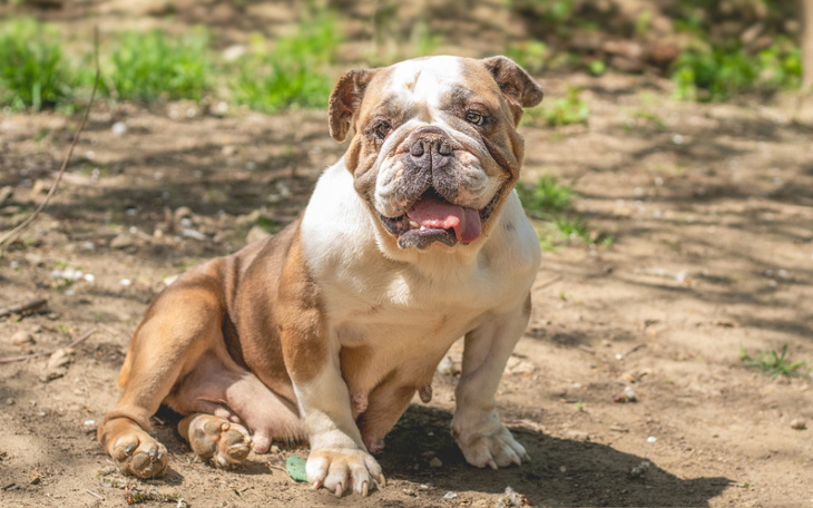 Zbiórka AN Kleosia - zdjęcie główne