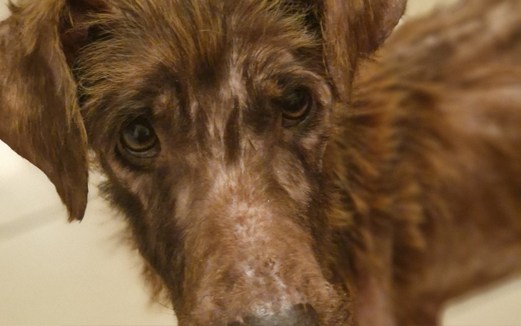 Zbiórka W nowy rok bez dlugu - zdjęcie główne