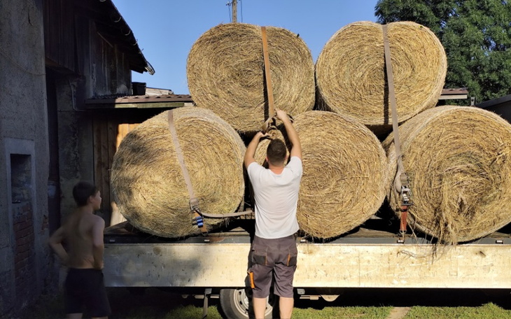 Zbiórka Nakarm zwierzaka - zdjęcie główne
