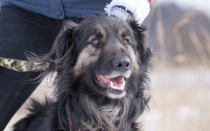 Zbiórka Stacjonarne szkolenie Dunaja - zdjęcie główne