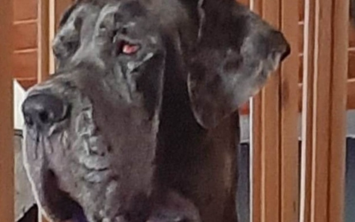 Zbiórka Akhira potrzebuje operacji - zdjęcie główne