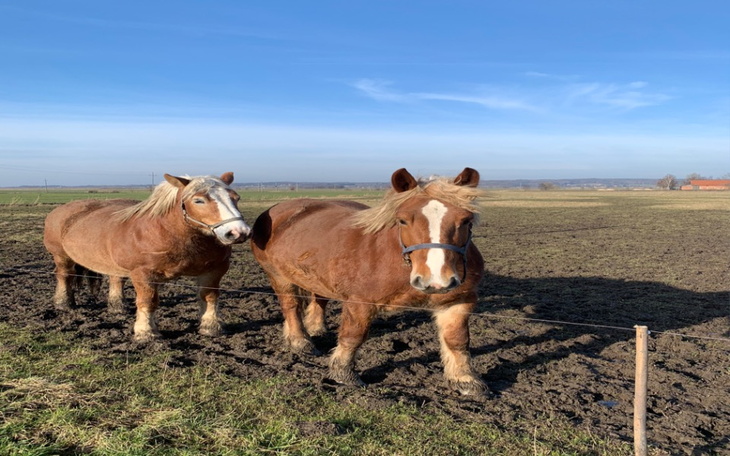 Zbiórka Ostatnie godziny życia. - zdjęcie główne