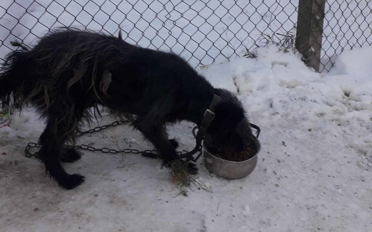 Zbiórka Za dużo by umrzeć - zdjęcie główne