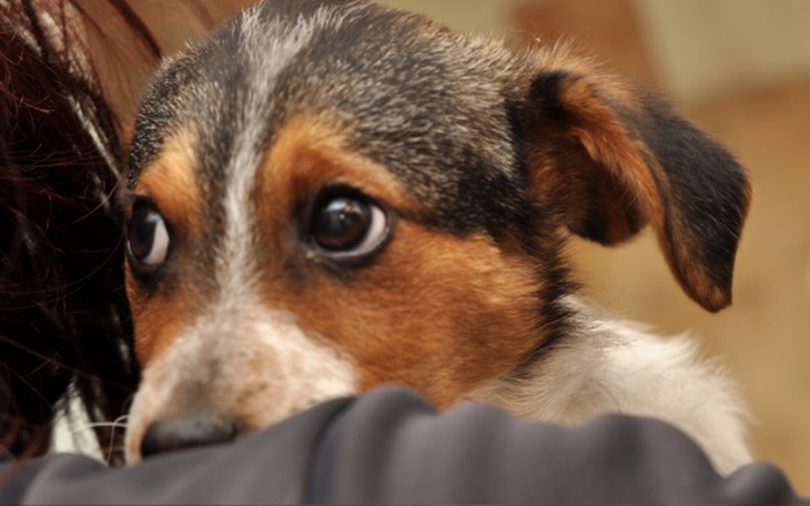 Zbiórka Maleńka Mila pragnie wyzdrowiec. - zdjęcie główne