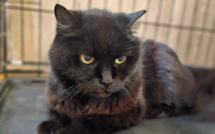 Zbiórka Moje nerki pracują na 30 procent - zdjęcie główne