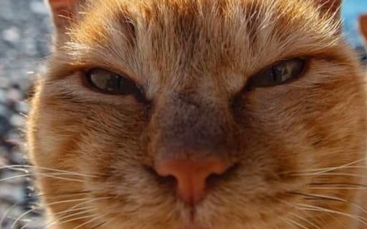 Zbiórka Chce być sobą XD - zdjęcie główne