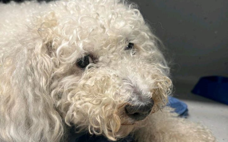 Zbiórka na ratowanie członka rodziny - zdjęcie główne