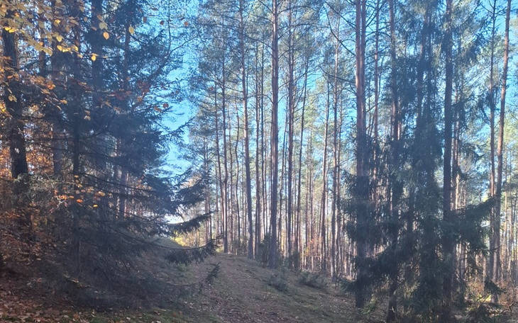 Zbiórka Pomoc dla rodziny w potrzebie. - zdjęcie główne