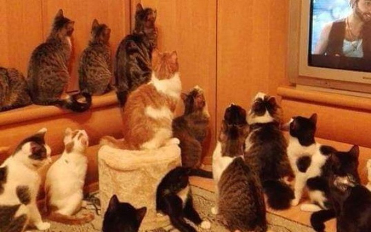 Zbiórka By napełnić brzuszki w święta - zdjęcie główne