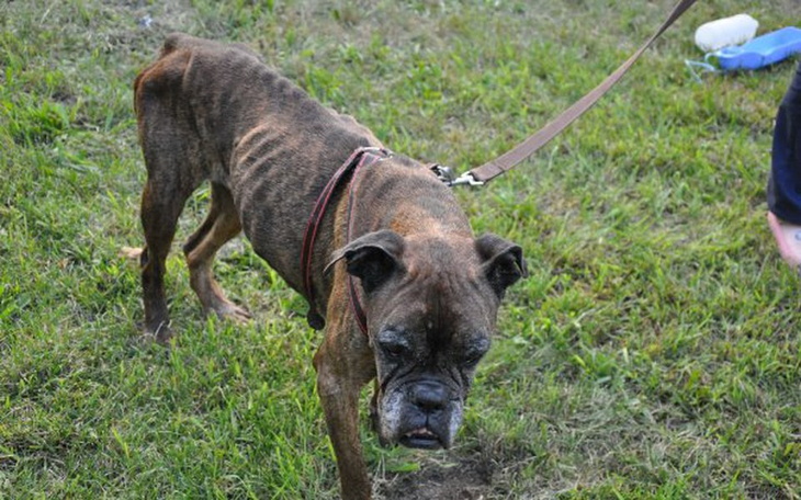 Zbiórka Dla podopiecznych Fundacji - zdjęcie główne